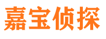 桃江侦探公司